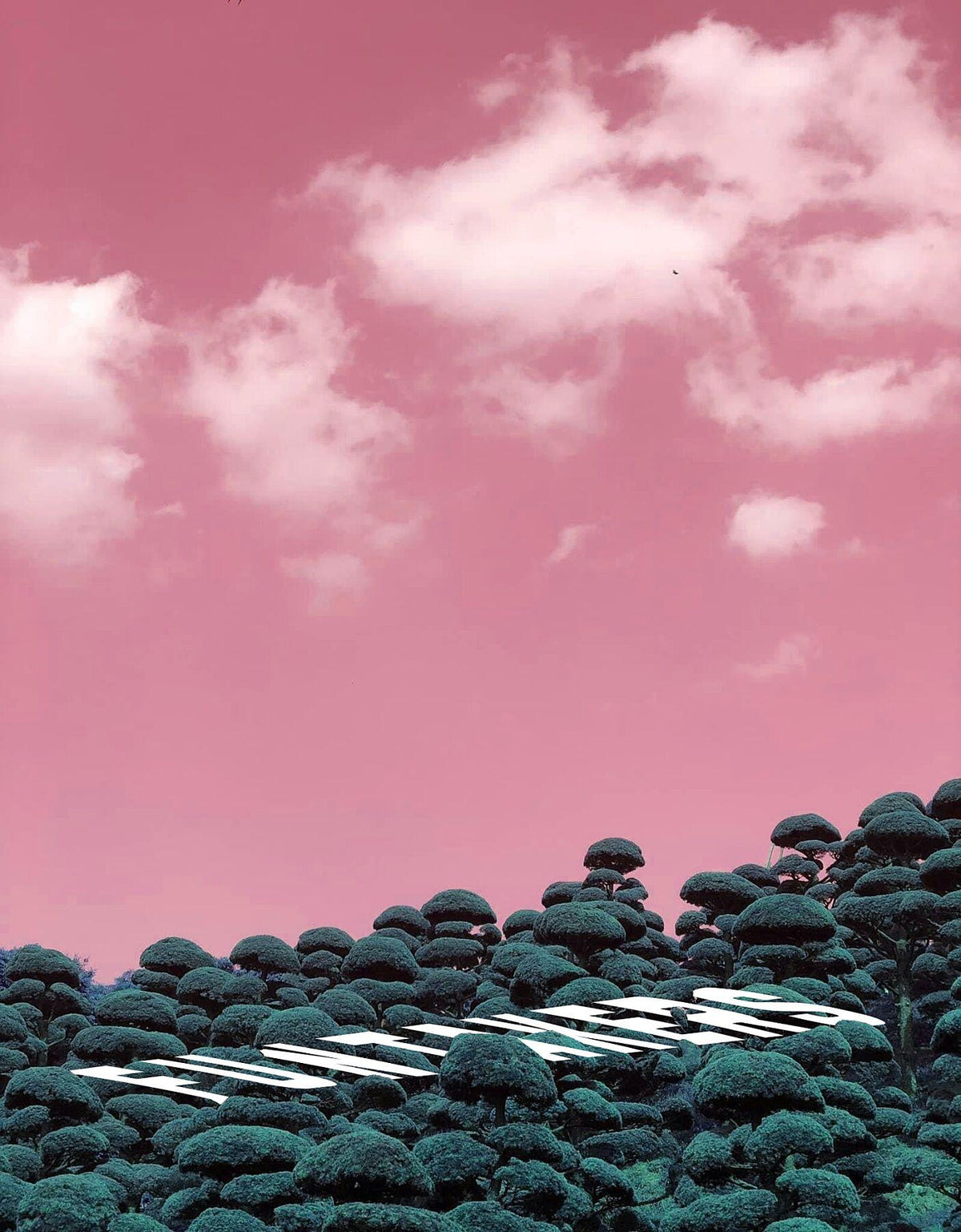 Head In The Clouds - Pink - FunTakers