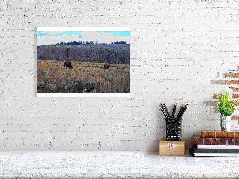 Grazing Bison - FunTakers