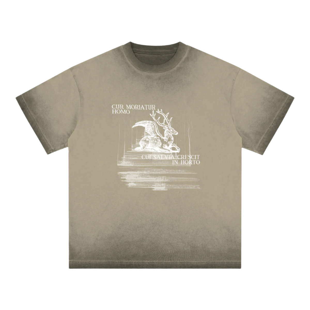 shirt,shirts,t-shirt,tee,tees