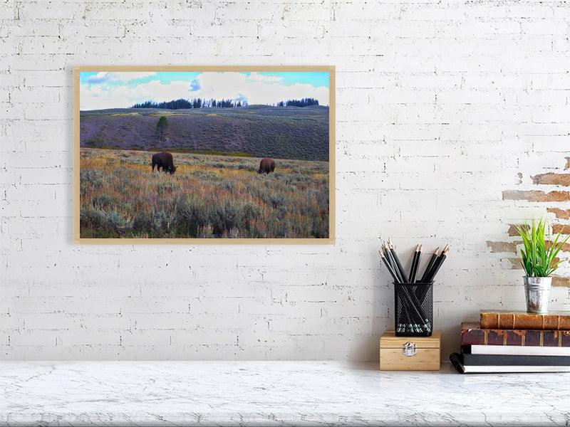 Grazing Bison - FunTakers