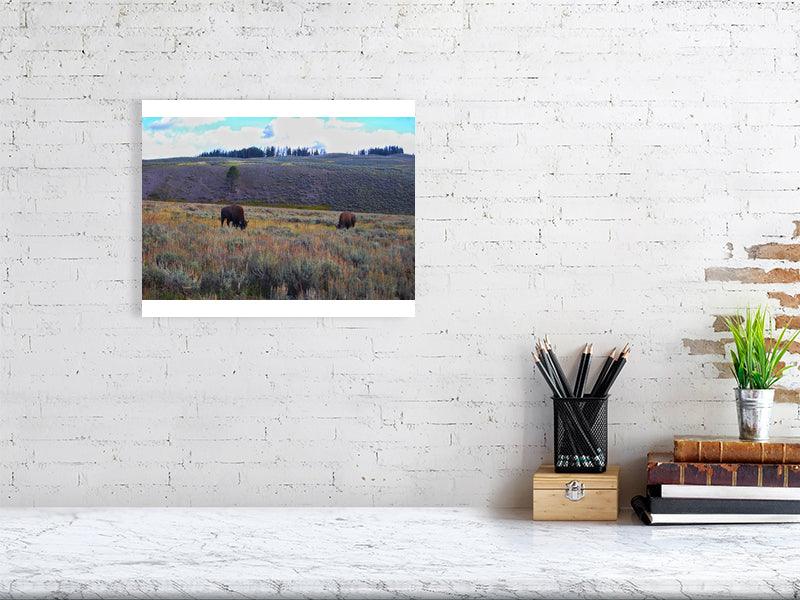 Grazing Bison - FunTakers