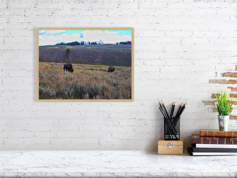 Grazing Bison - FunTakers