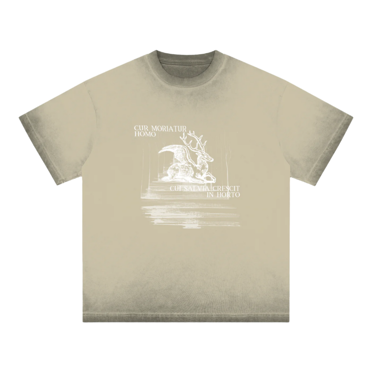 shirt,shirts,t-shirt,tee,tees