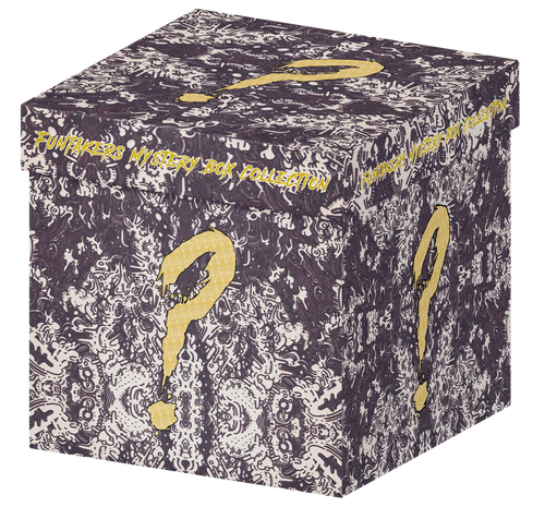 $500 Mystery Box - FunTakers