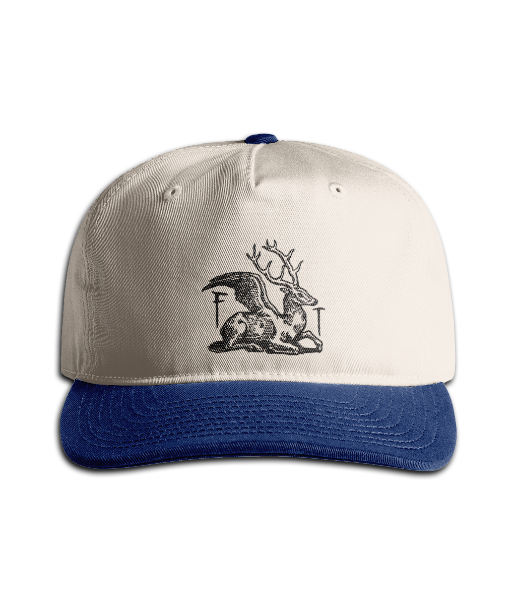 FT Sage Cap