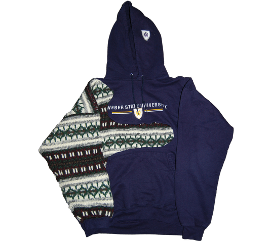 Purple Weber Hoodie | Coogi Arm Hoodie | FunTakers